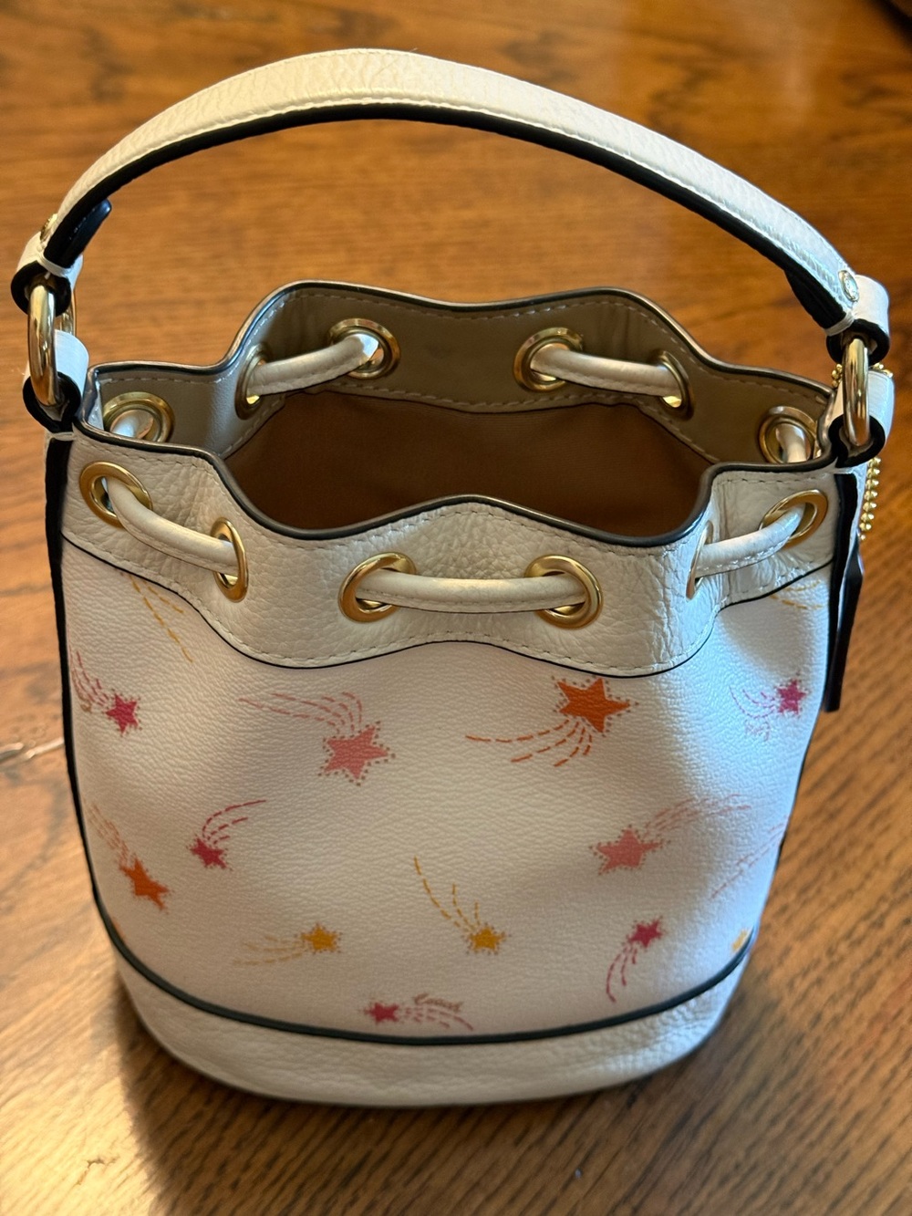 COACH Mini Dempsey Drawstring Bucket Bag in Shooting Star Print - Chalk Multi